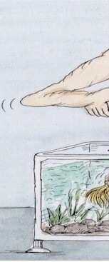 Russia cartoon, feed golded fish
