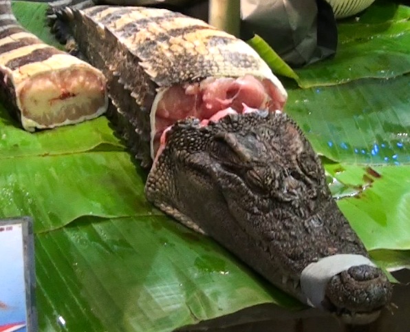  crocodile alligator cuisines in China (Guangzhou)