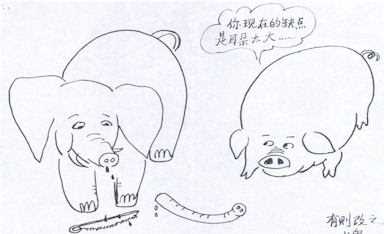 China cartoon, pig and elephant 